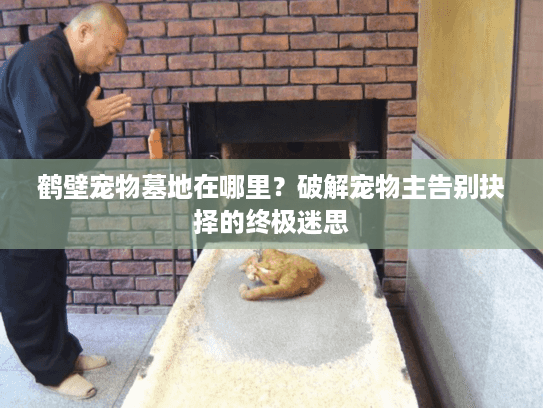 鹤壁宠物墓地在哪里?破解宠物主告别抉择的终极迷思 鹤壁宠物墓地在哪里?破解宠物主告别抉择的终极迷思