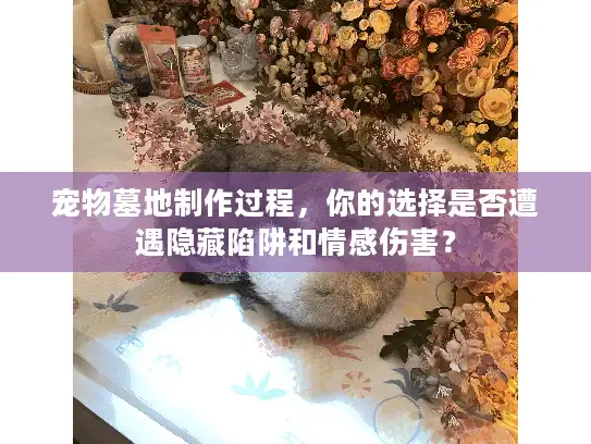 宠物墓地制作过程，你的选择是否遭遇隐藏陷阱和情感伤害？