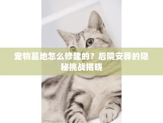 宠物墓地怎么修建的?后院安葬的隐秘挑战揭晓 宠物墓地怎么修建的?后院安葬的隐秘挑战揭晓