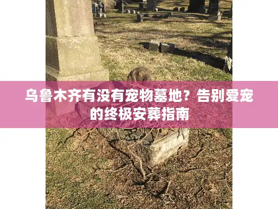 乌鲁木齐有没有宠物墓地?告别爱宠的终极安葬指南 乌鲁木齐有没有宠物墓地?告别爱宠的终极安葬指南