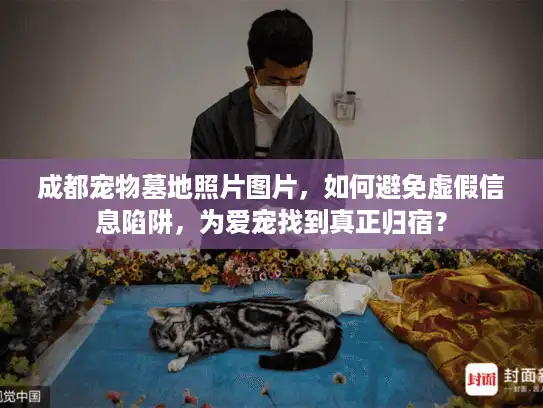 成都宠物墓地照片图片,如何避免虚假信息陷阱,为爱宠找到真正归宿? 成都宠物墓地照片图片,如何避免虚假信息陷阱,为爱宠找到真正归宿?