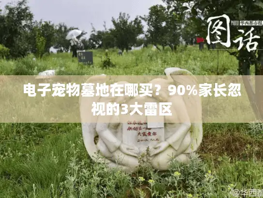 电子宠物墓地在哪买?90%家长忽视的3大雷区 电子宠物墓地在哪买?90%家长忽视的3大雷区