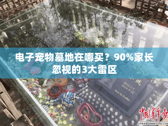 电子宠物墓地在哪买?90%家长忽视的3大雷区 电子宠物墓地在哪买?90%家长忽视的3大雷区