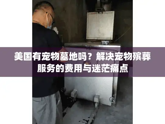 美国有宠物墓地吗？解决宠物殡葬服务的费用与迷茫痛点