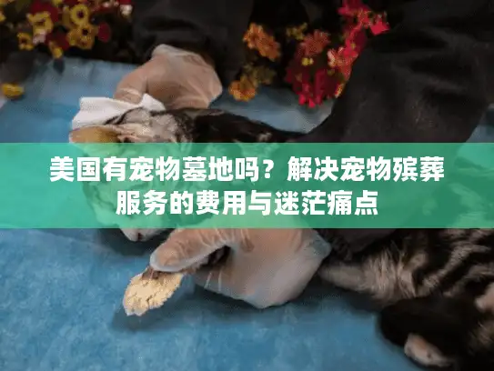 美国有宠物墓地吗？解决宠物殡葬服务的费用与迷茫痛点