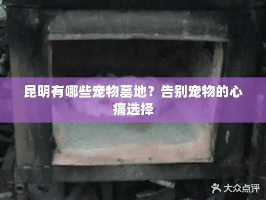 昆明有哪些宠物墓地？告别宠物的心痛选择