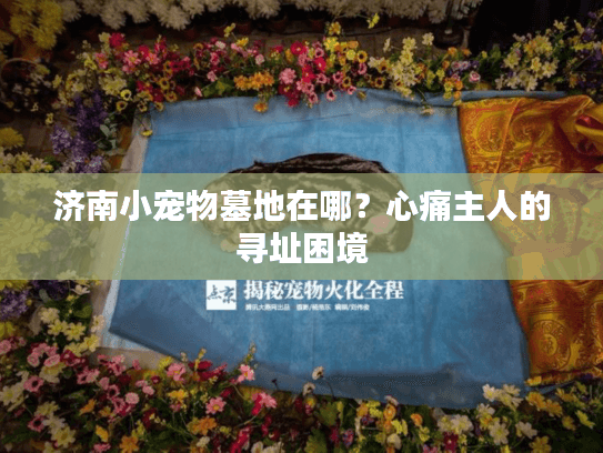 济南小宠物墓地在哪？心痛主人的寻址困境