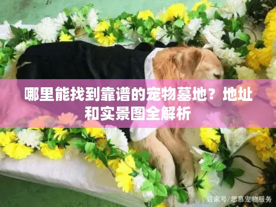 哪里能找到靠谱的宠物墓地?地址和实景图全解析 哪里能找到靠谱的宠物墓地?地址和实景图全解析