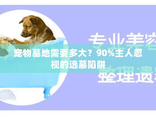 宠物墓地需要多大？90%主人忽视的选墓陷阱