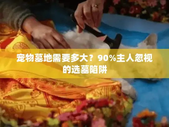 宠物墓地需要多大？90%主人忽视的选墓陷阱