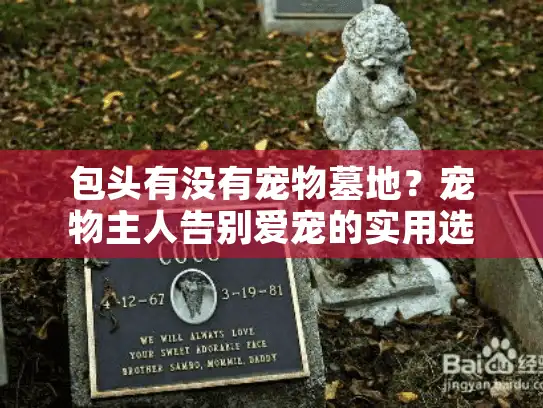 包头有没有宠物墓地？宠物主人告别爱宠的实用选择攻略