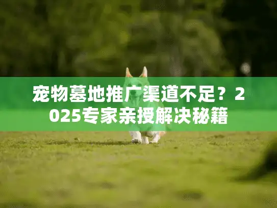 宠物墓地推广渠道不足？2025专家亲授解决秘籍