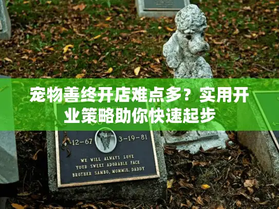 宠物善终开店难点多?实用开业策略助你快速起步 宠物善终开店难点多?实用开业策略助你快速起步