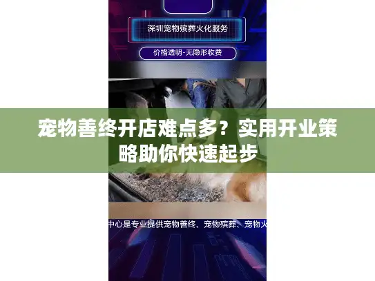 宠物善终开店难点多?实用开业策略助你快速起步 宠物善终开店难点多?实用开业策略助你快速起步