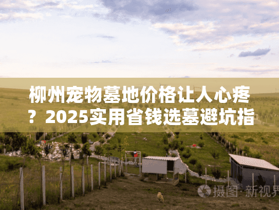 柳州宠物墓地价格让人心疼？2025实用省钱选墓避坑指南