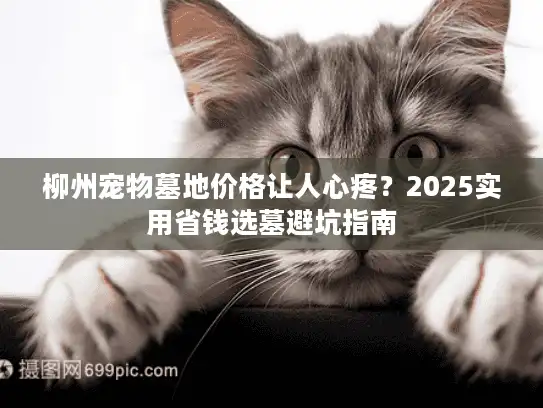柳州宠物墓地价格让人心疼？2025实用省钱选墓避坑指南