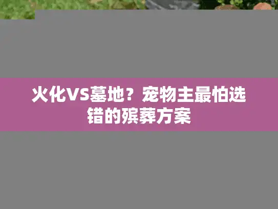 火化VS墓地?宠物主最怕选错的殡葬方案 火化VS墓地?宠物主最怕选错的殡葬方案