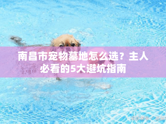 南昌市宠物墓地怎么选?主人必看的5大避坑指南 南昌市宠物墓地怎么选?主人必看的5大避坑指南