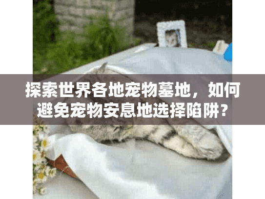 探索世界各地宠物墓地,如何避免宠物安息地选择陷阱? 探索世界各地宠物墓地,如何避免宠物安息地选择陷阱?