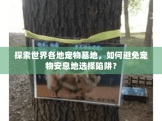 探索世界各地宠物墓地,如何避免宠物安息地选择陷阱? 探索世界各地宠物墓地,如何避免宠物安息地选择陷阱?