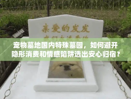 宠物墓地国内特殊墓园,如何避开隐形消费和情感陷阱选出安心归宿? 宠物墓地国内特殊墓园,如何避开隐形消费和情感陷阱选出安心归宿?