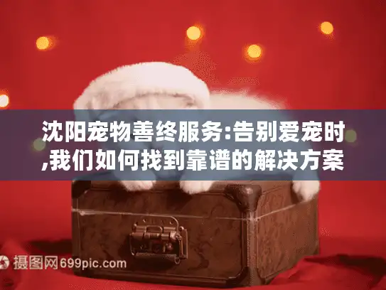 沈阳宠物善终服务:告别爱宠时,我们如何找到靠谱的解决方案? 沈阳宠物善终服务:告别爱宠时,我们如何找到靠谱的解决方案?
