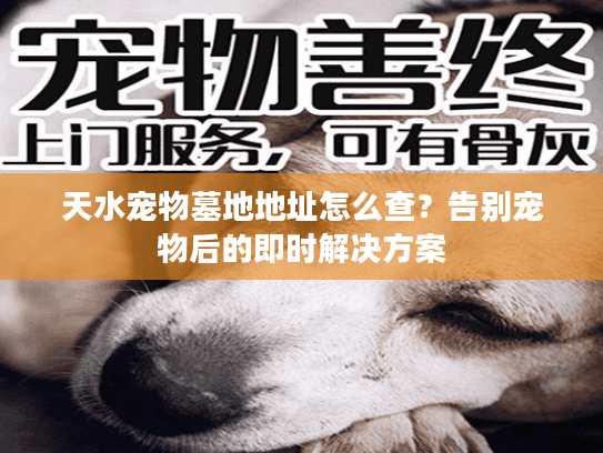 天水宠物墓地地址怎么查?告别宠物后的即时解决方案 天水宠物墓地地址怎么查?告别宠物后的即时解决方案