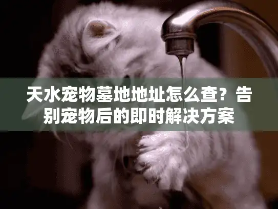 天水宠物墓地地址怎么查?告别宠物后的即时解决方案 天水宠物墓地地址怎么查?告别宠物后的即时解决方案