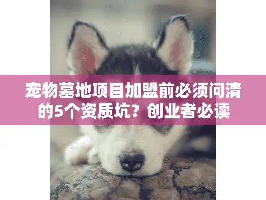 宠物墓地项目加盟前必须问清的5个资质坑?创业者必读 宠物墓地项目加盟前必须问清的5个资质坑?创业者必读