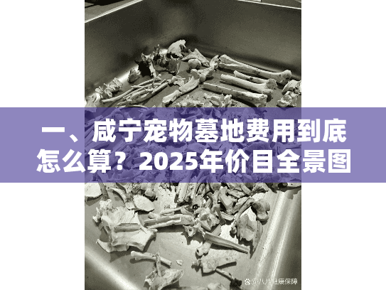 一、咸宁宠物墓地费用到底怎么算?2025年价目全景图 一、咸宁宠物墓地费用到底怎么算?2025年价目全景图