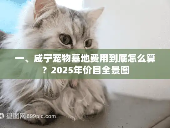 一、咸宁宠物墓地费用到底怎么算?2025年价目全景图 一、咸宁宠物墓地费用到底怎么算?2025年价目全景图