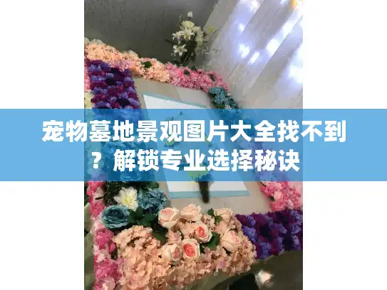 宠物墓地景观图片大全找不到?解锁专业选择秘诀 宠物墓地景观图片大全找不到?解锁专业选择秘诀