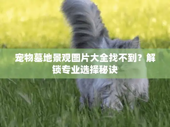 宠物墓地景观图片大全找不到?解锁专业选择秘诀 宠物墓地景观图片大全找不到?解锁专业选择秘诀