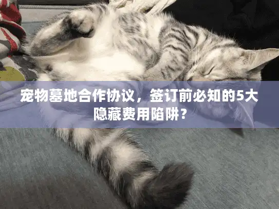 宠物墓地合作协议，签订前必知的5大隐藏费用陷阱？