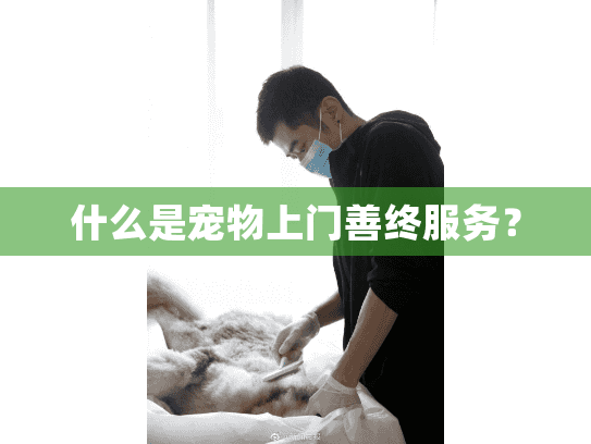 什么是宠物上门善终服务？
