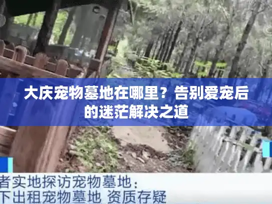 大庆宠物墓地在哪里?告别爱宠后的迷茫解决之道 大庆宠物墓地在哪里?告别爱宠后的迷茫解决之道
