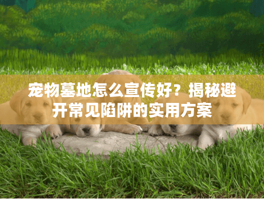宠物墓地怎么宣传好？揭秘避开常见陷阱的实用方案