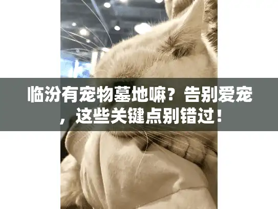 临汾有宠物墓地嘛?告别爱宠,这些关键点别错过! 临汾有宠物墓地嘛?告别爱宠,这些关键点别错过!