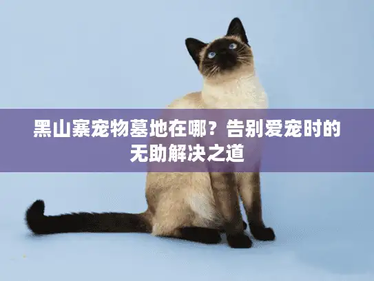 黑山寨宠物墓地在哪？告别爱宠时的无助解决之道