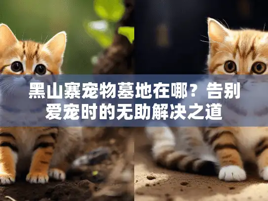 黑山寨宠物墓地在哪？告别爱宠时的无助解决之道