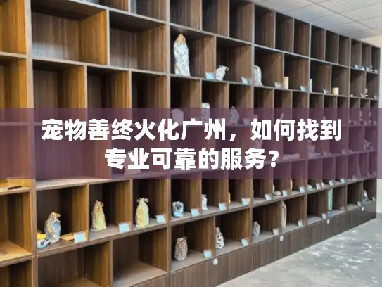 宠物善终火化广州，如何找到专业可靠的服务？