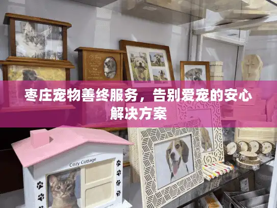 枣庄宠物善终服务，告别爱宠的安心解决方案