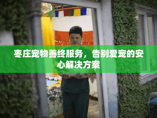 枣庄宠物善终服务，告别爱宠的安心解决方案
