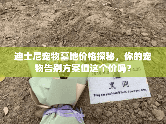 迪士尼宠物墓地价格探秘,你的宠物告别方案值这个价吗? 迪士尼宠物墓地价格探秘,你的宠物告别方案值这个价吗?