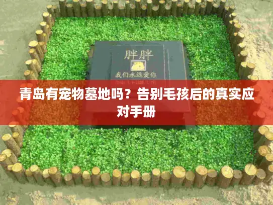 青岛有宠物墓地吗？告别毛孩后的真实应对手册