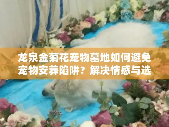 龙泉金菊花宠物墓地如何避免宠物安葬陷阱？解决情感与选择难题的终极方案