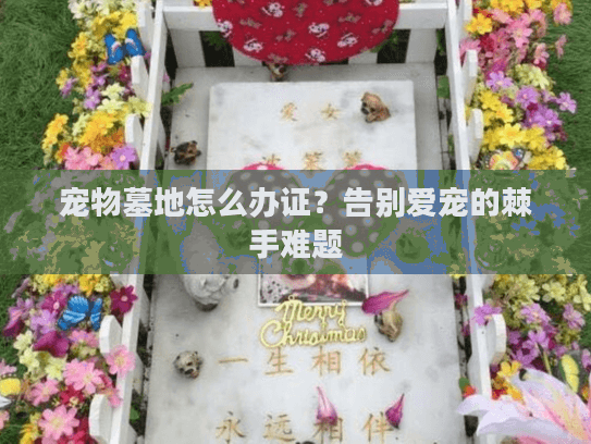 宠物墓地怎么办证？告别爱宠的棘手难题