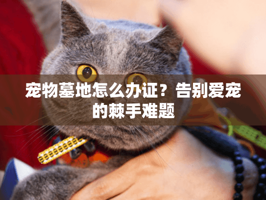 宠物墓地怎么办证？告别爱宠的棘手难题