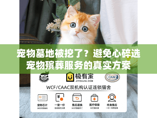 宠物墓地被挖了？避免心碎选宠物殡葬服务的真实方案
