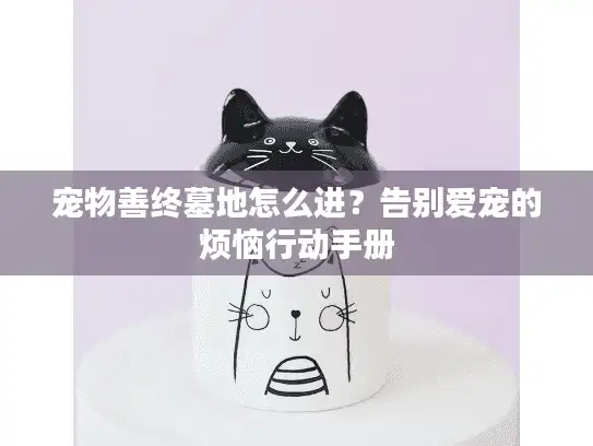 宠物善终墓地怎么进？告别爱宠的烦恼行动手册